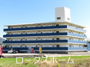 エクセル湊の画像