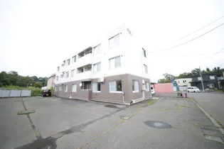 オークの画像