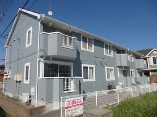 プルメリアAの画像