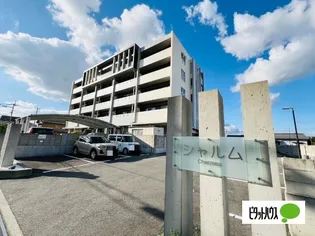 シャルムの画像