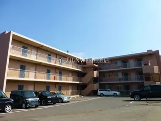 アスモグランデの画像