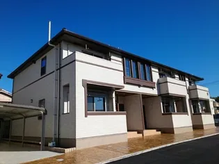 カメリアβの画像