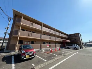 センチュリーフクナミの画像