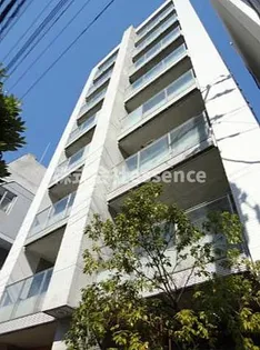 コートモデリア白金の画像