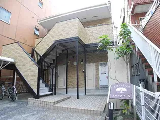 エバーグリーンの画像