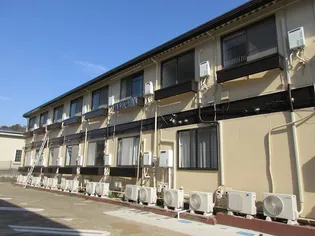 コンラッドの画像