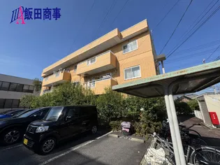 サンフラワーIIの画像