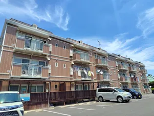 ハイムチェリーの画像