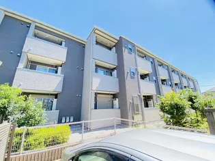 スカイレオの画像