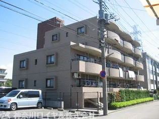 プリム エスポワールの画像