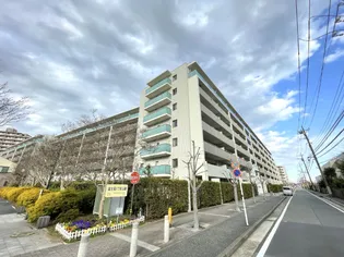 ラ ヴィータシティの画像