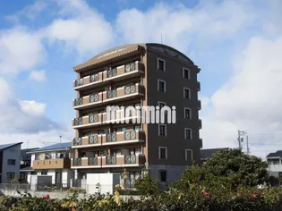 ラナ清水野の画像