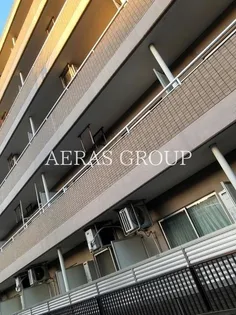 サンフラワーKの画像