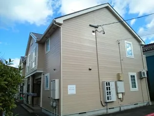 フクジュソウの画像