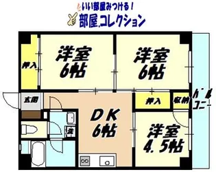 サンライフコーポ【6階】の間取り