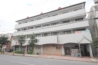 エクセレント河【3階】の外観