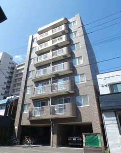 ハイコートN1の画像