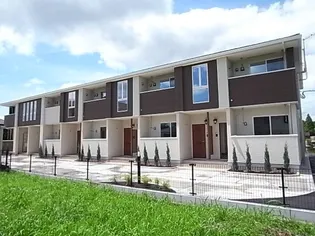 エルミタージュ トミの画像