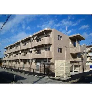 Y&Mスターの画像