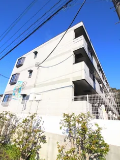 ゴールドキャッスルの画像