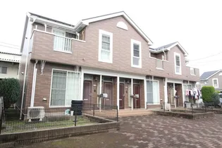 セレッソAの画像