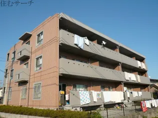 ラフィーネの画像