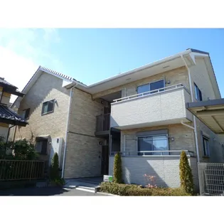 ハクラクの画像