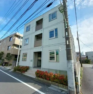 グリーンパルコンの画像