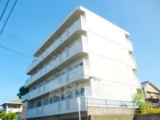 光ミノオパレス【4階】の外観