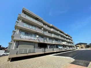 ヴェルシティ河渡の画像