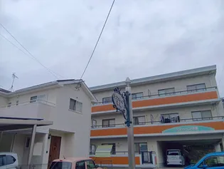 サンシャイン平原の画像