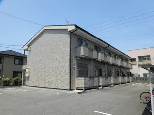 SURPLUS M'S HILLの画像