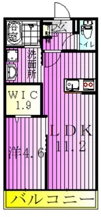 フォレスト ベベ【3階】の間取り