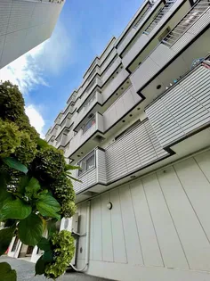 リリーディア東武練馬の画像