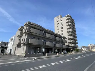 ファインコール91の画像