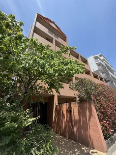 ANGEL BEETLEの画像