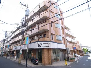 ダイアパレスステーションプラザ武蔵新城の画像