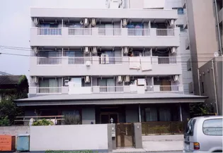 グレースモリトーの画像