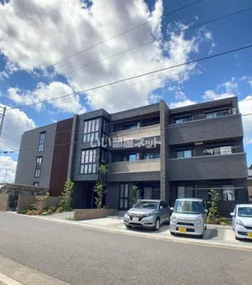 ブルーベルの画像