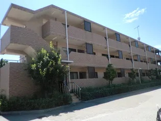 ジュネスコ-トA【3階】の外観