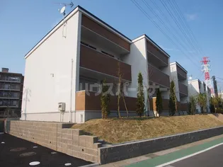 32スプラウトの画像