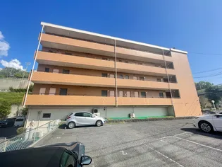 HARMONY HIRAKIの画像