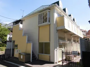 Y'Sコートの画像