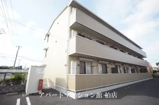 フローラルAの画像