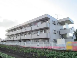 ラ セーヌ藤の画像