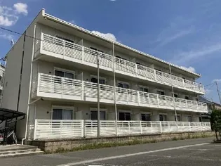 レオネクストMAYの画像