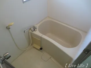 フェニックスV【2階】の風呂