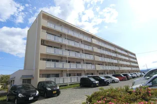 ビレッジハウス白河1号棟【5階】の外観