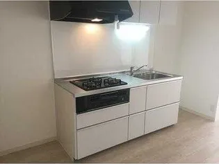 メゾン柿の木坂【1階】のキッチン