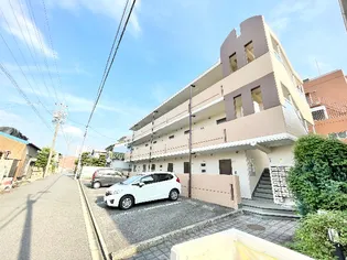 サンハウスマンヨーの画像